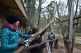 Zaměstnanci společnosti Safina s.r.o. opět pomáhali v děčínské zoo