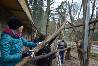 Zaměstnanci společnosti Safina s.r.o. opět pomáhali v děčínské zoo